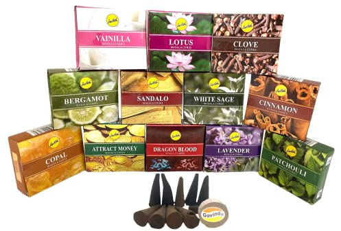 Sreevani Natural Masala Incense Cones and Holder Bundle, 120 Cones Total, Assorted #1