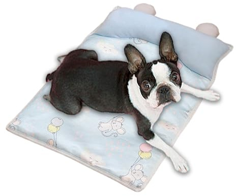 Générique Tapis Rafraîchissant pour Chien, Matelas Frais Glace pour Animal, Matelas Glacé Sommeil avec Coussin pour Intérieur Extérieur Cage Caisse Transport Voiture Chambre Temps Chaud