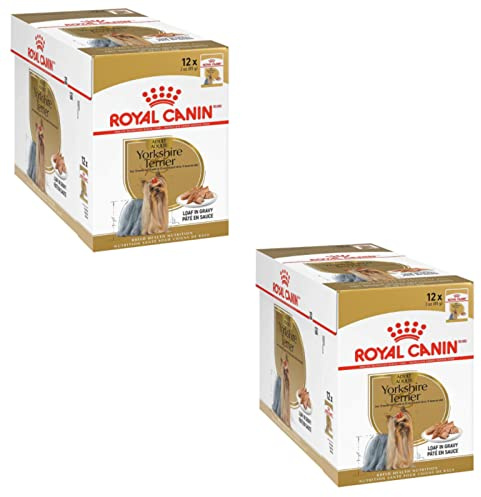 Royal Canin Yorkshire Terrier Adult | Pack Double | 2 x 12 x 85 g | Nourriture Humide pour Chiens Adultes | A partir de 10 Mois | pour Soutenir Le Pelage et la qualité des selles