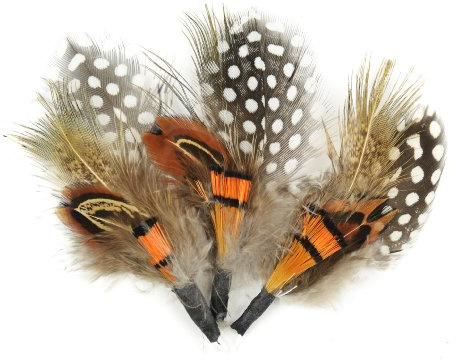 Touch of Nature 38108 3-Piece Natural Feather Pick with Nylon Loop for Arts and Crafts, 3.5-Inch, Guinea/Orange