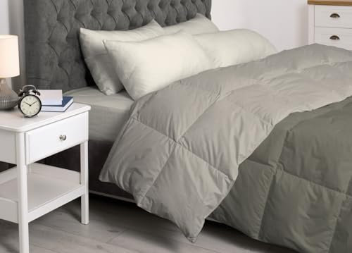 BIANCHERIAWEB Interno Imbottitura Piumino Invernale 300gr/mq in Piuma D'Oca Bicolor Matrimoniale Grigio Ch-Sc