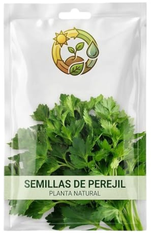Cultiva Perejil Fresco en Tu Cocina | Semillas de Perejil para Siembra en Interior o Exterior DECOALIVE