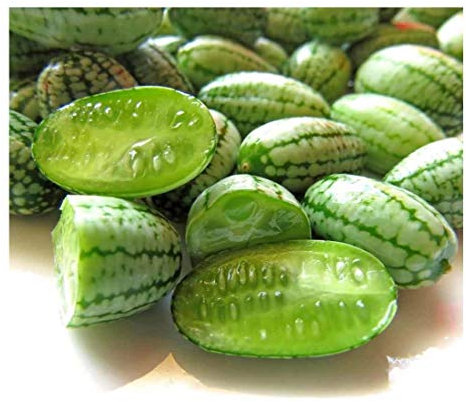 PREMIER SEEDS DIRECT - CUCAMELON - 65 Finest Seeds