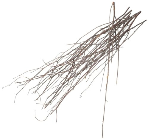 HOLIDYOYO Rami Secchi Decorativi di Betulla Naturali per Decorazione Casa e Matrimoni, Rami D'albero Leggeri e Riutilizzabili, 12 Pezzi da 50 Cm per Arredamento Interno ed Esterno,