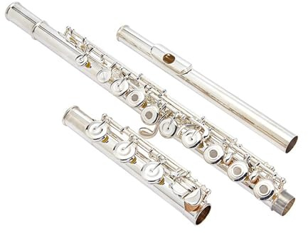 Flauto traverso flauto per principianti Strumento per flauto a fiato in argento Bocchino in argento C-Tune a 17 fori