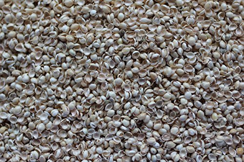 Traumschläferchen 400g Bio-Hirseschalen, Hirsespelzen, Hirsespreu, Optimal zum Nachfüllen von Schlaf- und Stützkissen