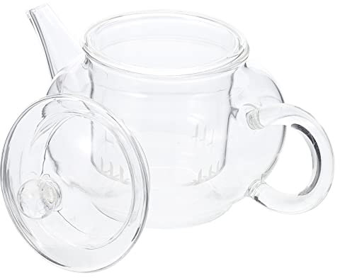 Healvian Teiera in con Infusore, teiera Trasparente, Infusore per Tisane, 250 ML