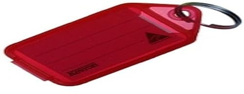 Kevron 56x30mm Red Key Tags with Labels Pack of 100 in Display Box for Identification, Security, Luggage, Pet Names, Memory Sticks, Home & Office