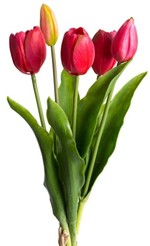 Botanic-Haus künstliches Tulpenbündel Holland mit 3 Tulpen und 2 Tulpenknospen real Touch (Beauty)