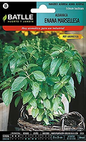 Semi aromatici - Basilico enana Marsigliese - Batlle