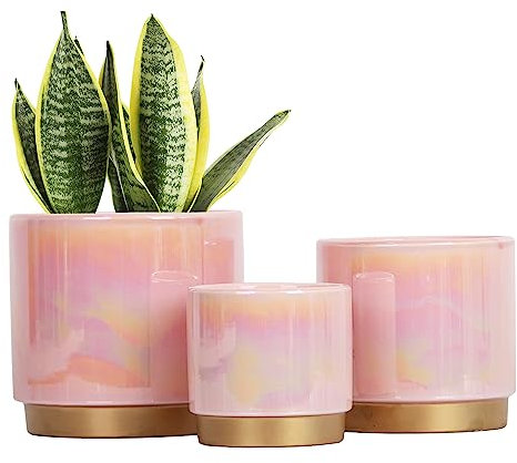 Gepege Pots de Fleurs d'intérieur Roses en céramique avec Trou de Drainage, 15,2 cm + 12,7 cm + 10,2 cm. Pot de Fleurs pour orchidée succulente – Vernis Perle Arc-en-Ciel