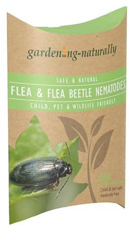 Lawn Flea & Beetle Nematodes - Pest Control for Lawns & Plants - Effective Flea & Beetle Treatment - 2 Applications for Comprehensive Coverage - Up to 50 sqm Lawn Protection