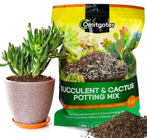 Omitgoter Mélange de rempotage biologique naturel pour cactus, succulentes, palmiers et agrumes cultivés dans des conteneurs à l'intérieur et à l'extérieur 1 litre