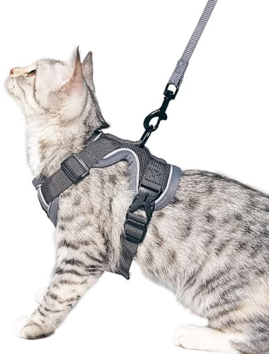 pangdi Katzengeschirr und Leine, ausbruchsicher, taktisch, großes Kätzchengeschirr, emotionale Unterstützung, Katzenweste, Grau, L