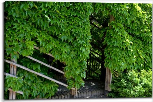 Canvas Wall Art for Living Room Bedroom The trellis tunnel covers the stairs the garden climbing plants cover Big Large Wall Art Decor Framed Painting Wall Pictures Prints Artwork 24x32in