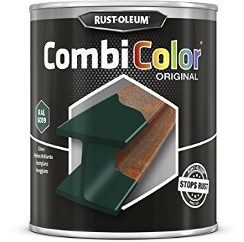 RUST-OLEUM 7339.0.75 Combicolor Original, Superior Metal Protection, Direct To Rust, Fir green -RAL 6009