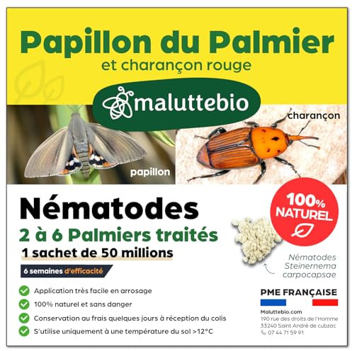 Nématodes contre le Papillon du palmier et le Charançon Rouge - Nematodes palmier - Pour traiter 2 à 6 palmiers