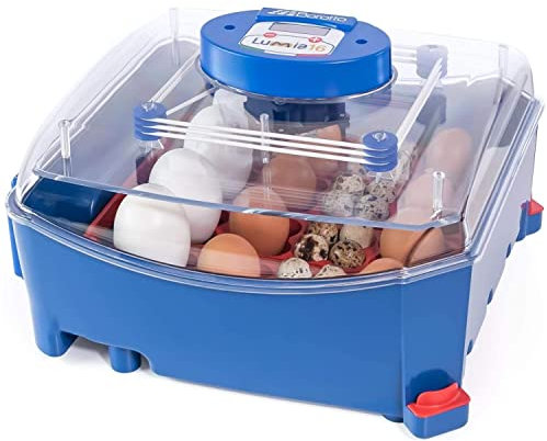 Borotto Lumia 16 | Brutautomat Vollautomatisch, Inkubator für 16 Eier oder 64 Kleine Eier mit Automatischem Eierwendemechanismus und Temperaturregelung | Hergestellt in Italien