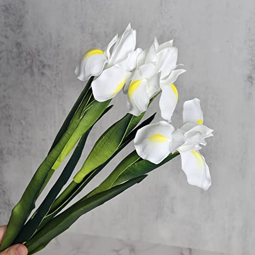 huaao 3PCS Fiori di Iris Artificiali Finti in Lattice, Steli Lunghi, Decorazione per Bouquet da Sposa Matrimoni Fai da Te, Composizioni Floreali Bouquet di Nozze Casa Feste Tavolo, Bianco