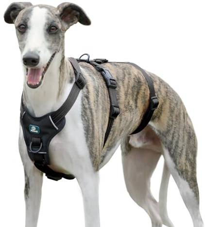 Paworld Harnais Anti-Fugue pour Chien, Harnais Anti Traction pour Chien, Réglable, Durable, Respirant, Anti-Étranglement, pour Petits Chiens en Extérieur (Noir,M)