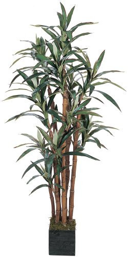 5 FT Yucca árbol de seda