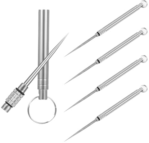 klahh 4 Pcs Portable Mini Toothpicks Holder Metal Pocket Toothpick Metal Toothpicks with Keychain for Camping Traveling Home Outdoor Picnic