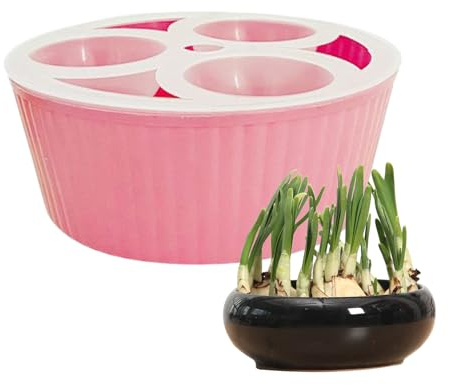 Vase en Jacinthe - Pot de Fleurs à 3 Trous - Pot de Culture Transparent pour Racines d'intérieur - Présentoir décoratif pour - Jardiniers, Appartements, Bureaux, Enseignants