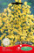 Germisem Deep Yellow Semillas de Statice 0.5 g