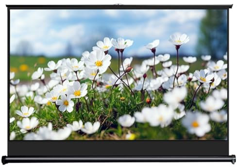 Portable Floor Standing Projector Screen, Fold-Out Roll-Up Movie Screen for Home Theater Cinema Party Office(88x49cm(40in))