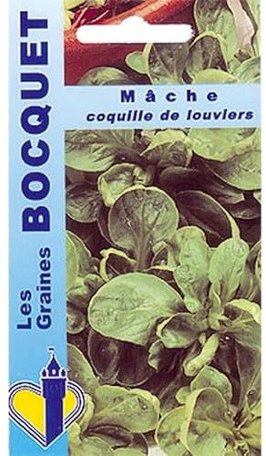Sachet de graines de Mâche Coquille de Louviers - 5 g - légume feuille - LES GRAINES BOCQUET