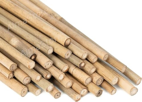 Canne di Bambu' h.150cm Ø18/20 mm 25 Pezzi - Resistenti Naturali - Per Sostegno Ortaggi e Piante o Arredamento di design - Ideali per Pomodori e Rampicanti - Canna di Bamboo per Orto