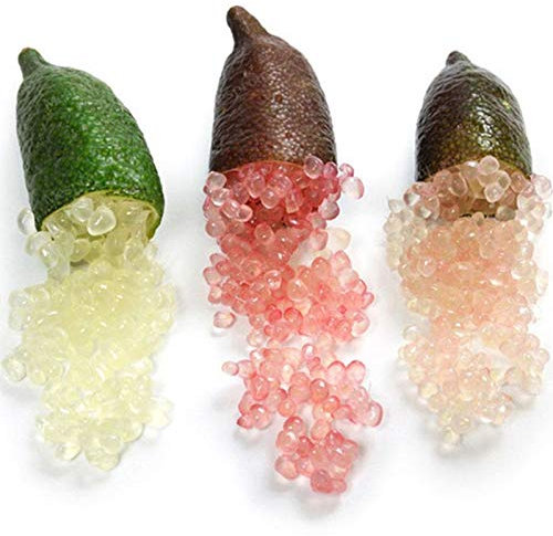 TOYHEART 50 Stück Premium-Fruchtsamen, Citrus Australasica-Samen Voller Vitamine C Nahrhafte Süß-saure Neuartige Pflanzenfinger-Orangensamen Für Die Landwirtschaft Multi