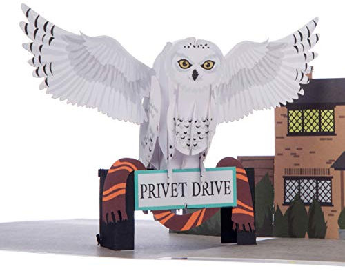 Cardology - Harry Potter Hedwig Pop-Up Card | 3D Birthday Greetings for Wizarding World Fans