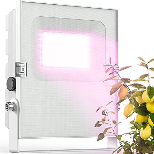 Meine Orangerie - LED Pflanzenlampe zur Überwinterung von mediterranen Pflanzen - Entwickelt mit den Zitruspflanzen-Profis Vollspektrum Pflanzenlicht (35)