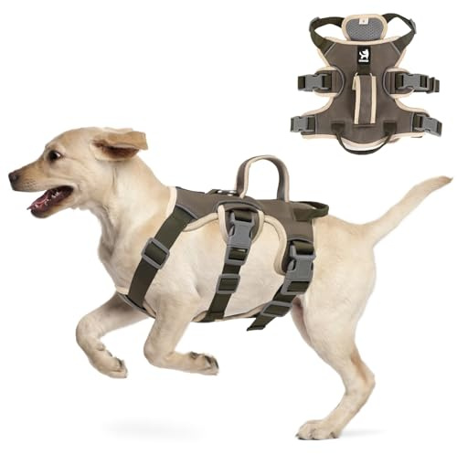 LiebeDD Arnes Perro Pequeño - Arnés 3 Puntos Arnes Antitirones Perro Easy Walk Pechera para Perros Cómodo Transpirable Antiescape Dog Harness, Peitoral para Cão, Verde, S