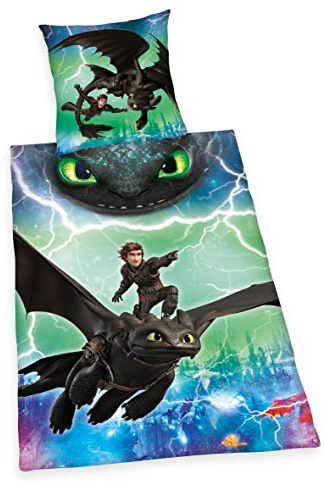 Herding DREAMWORKS DRAGONS Bettwäsche-Set, Wendemotiv, Bettbezug 140 x 200 cm, Kopfkissenbezug 70 x 90 cm, Baumwolle/Renforcé