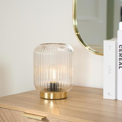OHS Battery Operated Lamp LED Light Cordless Table Lamp Decorative Bedside | Clear Glass Lamp Long Lasting Battery Lamps for Home Bedroom Living Room Office Outdoor Use