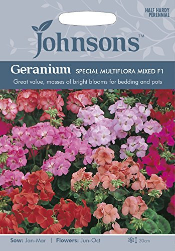 Johnsons Geranium Special Multiflora Mixed F1