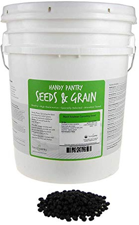 30 Lb Bulk Non-GMO Organic Black Soy Beans (Soya Bean) - Dry Organic Soybeans for Organic Dried Tofu, Soybean Milk, Soybean Sprouts, Tempeh Organic, Japanese Natto, Soybean Pasta, and Soya Milk Powder