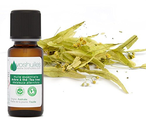 VOSHUILES - Huile Essentielle Arbre à Thé 60ml - Parfum Légèrement Piquant- Citronné- Boisé et Terreux - 100% Pure et Naturelle - HEBBD - Entreprise Française