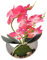 Aisamco 1 Stück Künstliche Orchideenblüten mit weißem Topf Gefälschte Phalaenopsis-Blumen aus Kunststoff mit Topf Künstliche Blume für Zuhause Hochzeit Bürodekoration