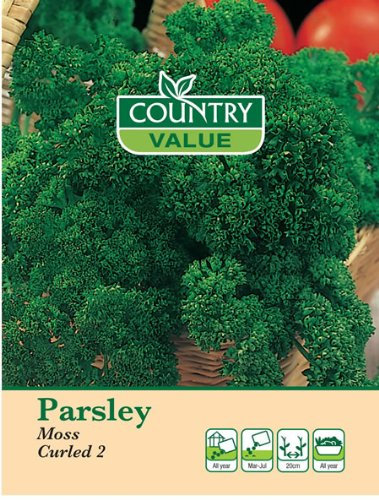 Country Value PARSLEY Moss Curled 2 Seeds