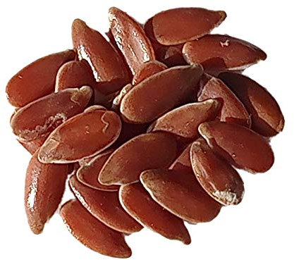 Lin Bleu Kaolin Bio - 40 grammes - Linum Usitatissimum L. - Flax - (Engrais vert) - SEM02