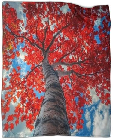 Weiße Wolken Kuscheldecke 80x90inch(200x230cm),weich & Warm,extra Flauschig Als Sofadecke Red Maple Baum Wohndecke Yogadecke Tagesdecke,Plüsch Sofaüberwurf