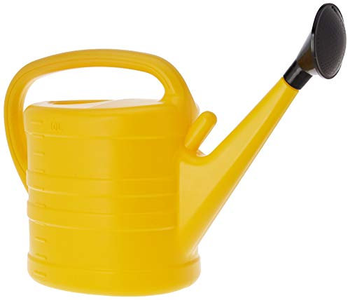 RIEGOLUX 302764 Arrosoir 10 L