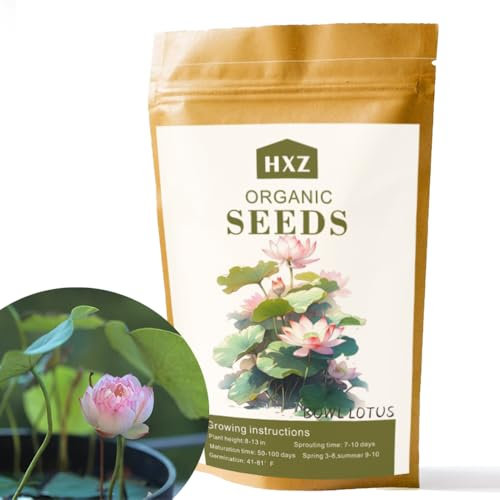 Plus de 32 graines de fleurs de lotus de qualité supérieure - Vibrant Bowl Lotus & Semences de nénuphars pour votre jardin aquatique