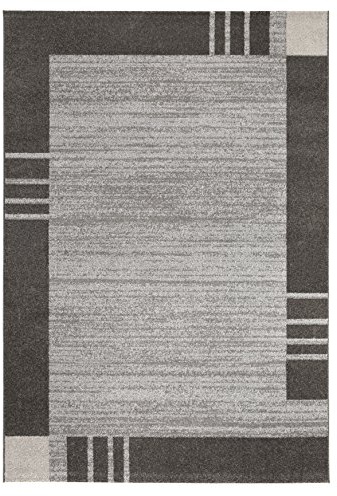 andiamo Webteppich moderner stilvoller Kurzflor Teppich robust und pflegeleicht aus 100% Polypropylen geeignet für Fußbodenheizung und Saugroboter 80 x 150 cm Bordüre Schlamm