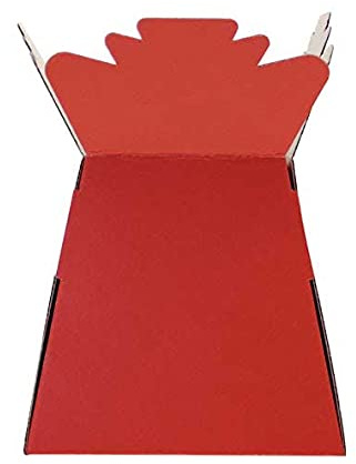 Floralcraft Pearlised Red Hand-Tied Living Vase Florist Bouquet Box, Presentation/Transporter Box/Flower Plant Aqua Boxes, (Pack of 20)