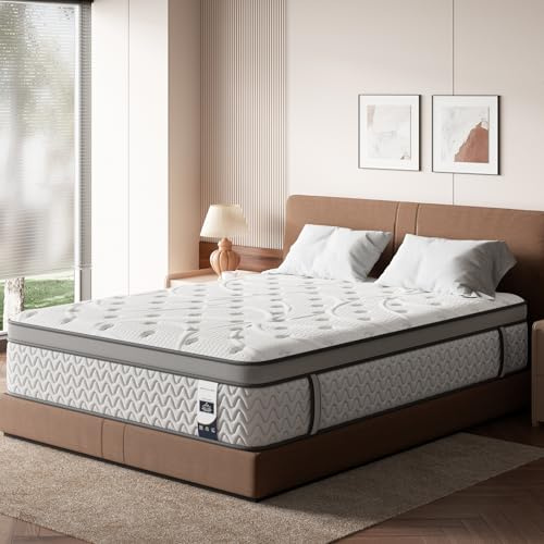 SLEEP100 Queen Mattress 14 Inch, 5-Zone Deep Sleep Firm Mattress with Extra Lumbar & Shoulder Support, Hotel Collection Hybrid Mattresses Pain Relief, Fiberglass Free & No Odor, 365 Night Trial