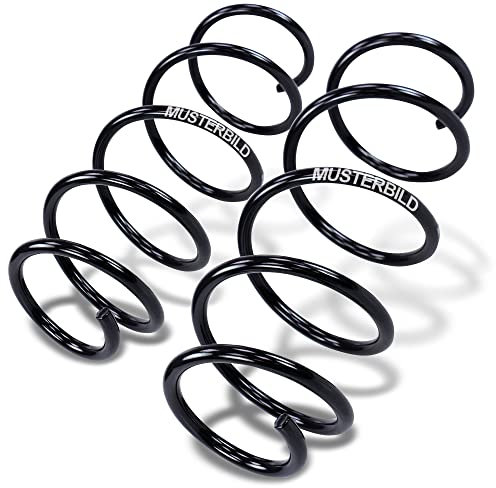 BESTPRICE 2x Fahrwerksfeder vorne links & rechts Kompatibel mit FORD GALAXY Mk1 (WGR), SEAT ALHAMBRA (7V8, 7V9), VW SHARAN (7M8, 7M9, 7M6)